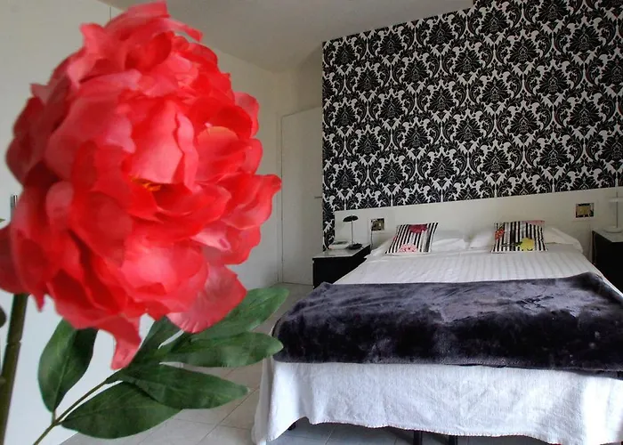 Elite סלסומאג'יורה טרמה