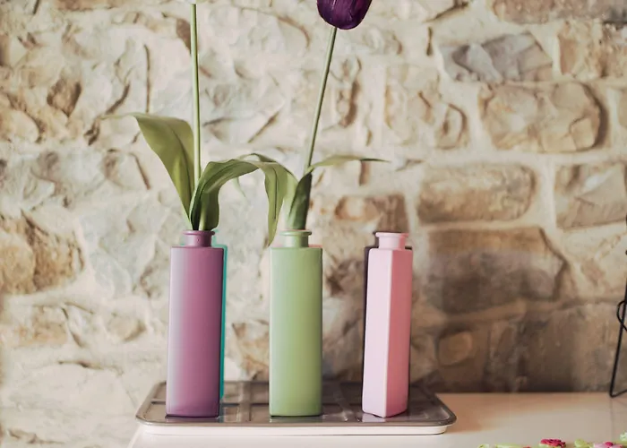 إيليت سالسوماجّوري تيرمي