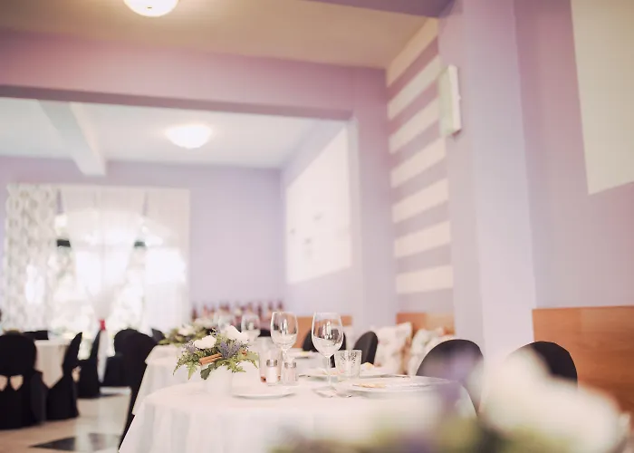 إيليت سالسوماجّوري تيرمي